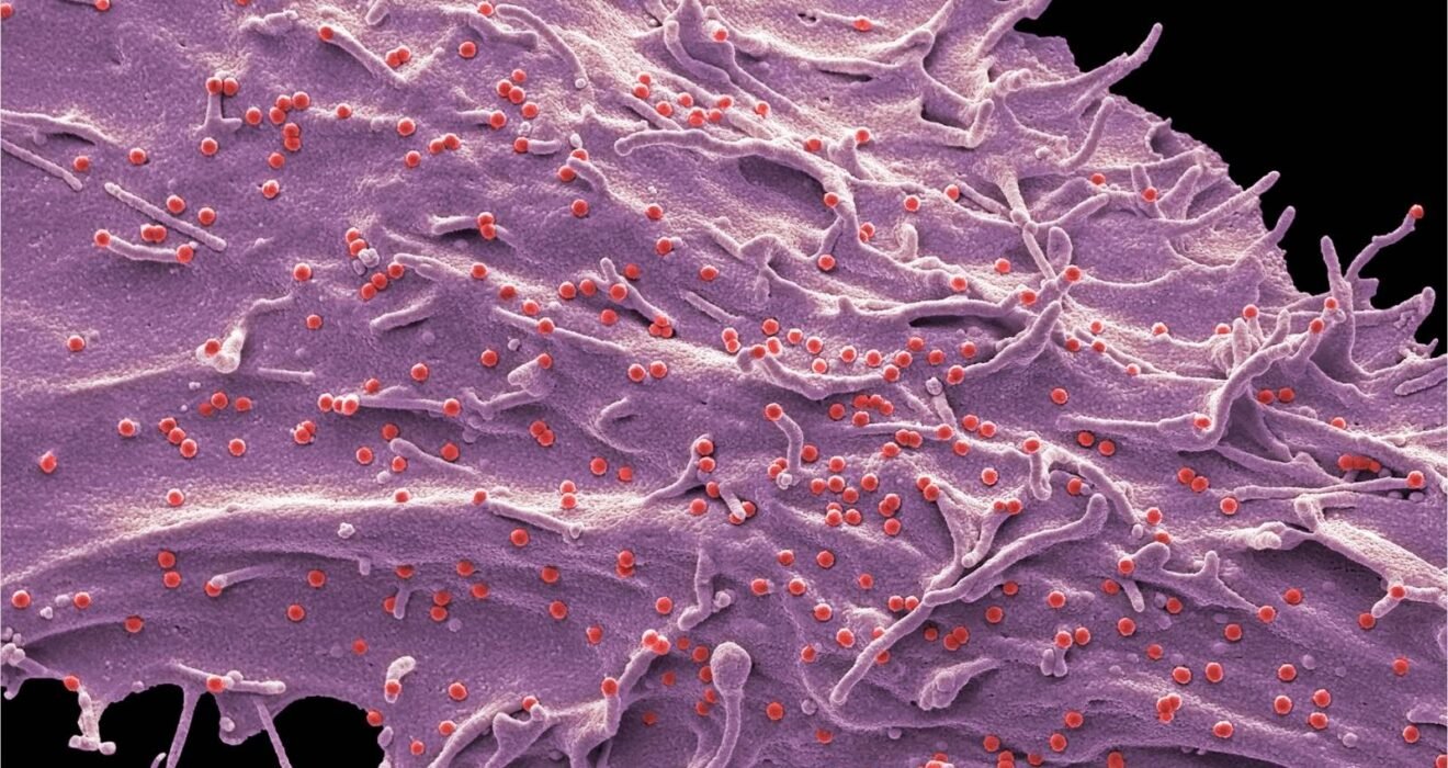 Erkek sağlığında eksozom tedavisinin yenileyici ve destekleyici bir yaklaşım olarak değerlendirildiğini gösteren temsili görsel