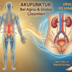 Akupunktur ile Bel Ağrısı Yönetimi ve Ürolojide Akupunktur Uygulamaları